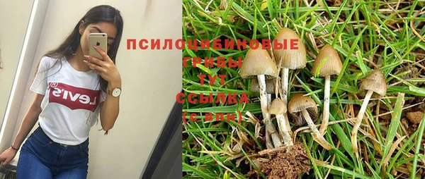 гашик Рославль
