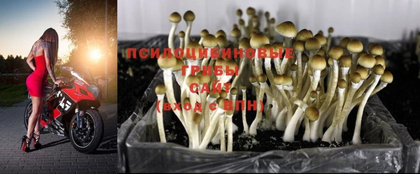 экстази Россошь