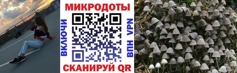 Псилоцибиновые грибы MAGIC MUSHROOMS  Канск 